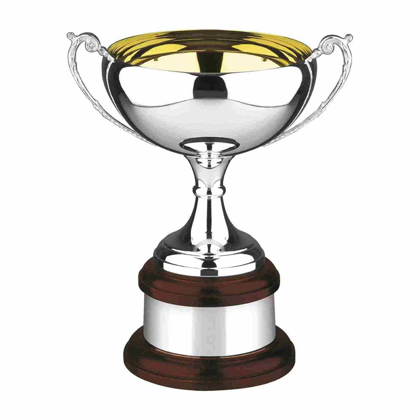 Swatkins Supreme Silver & Gold Plated Trophy Cup Award  