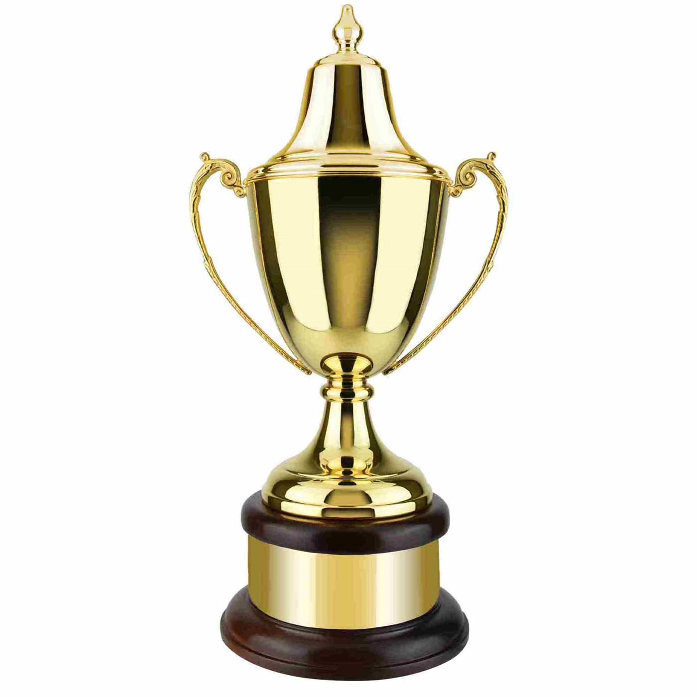 Swatkins Gold Plated Ultimate Riviera Trophy Cup Award  