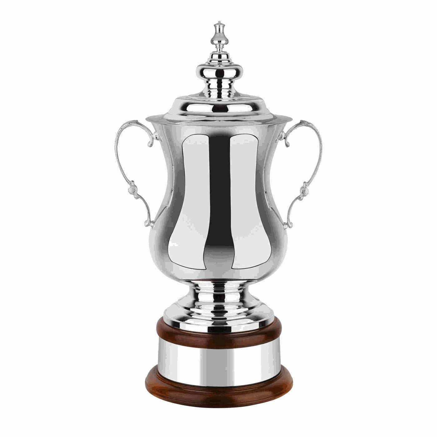 Swatkins Ultimate Heroes Award Complete