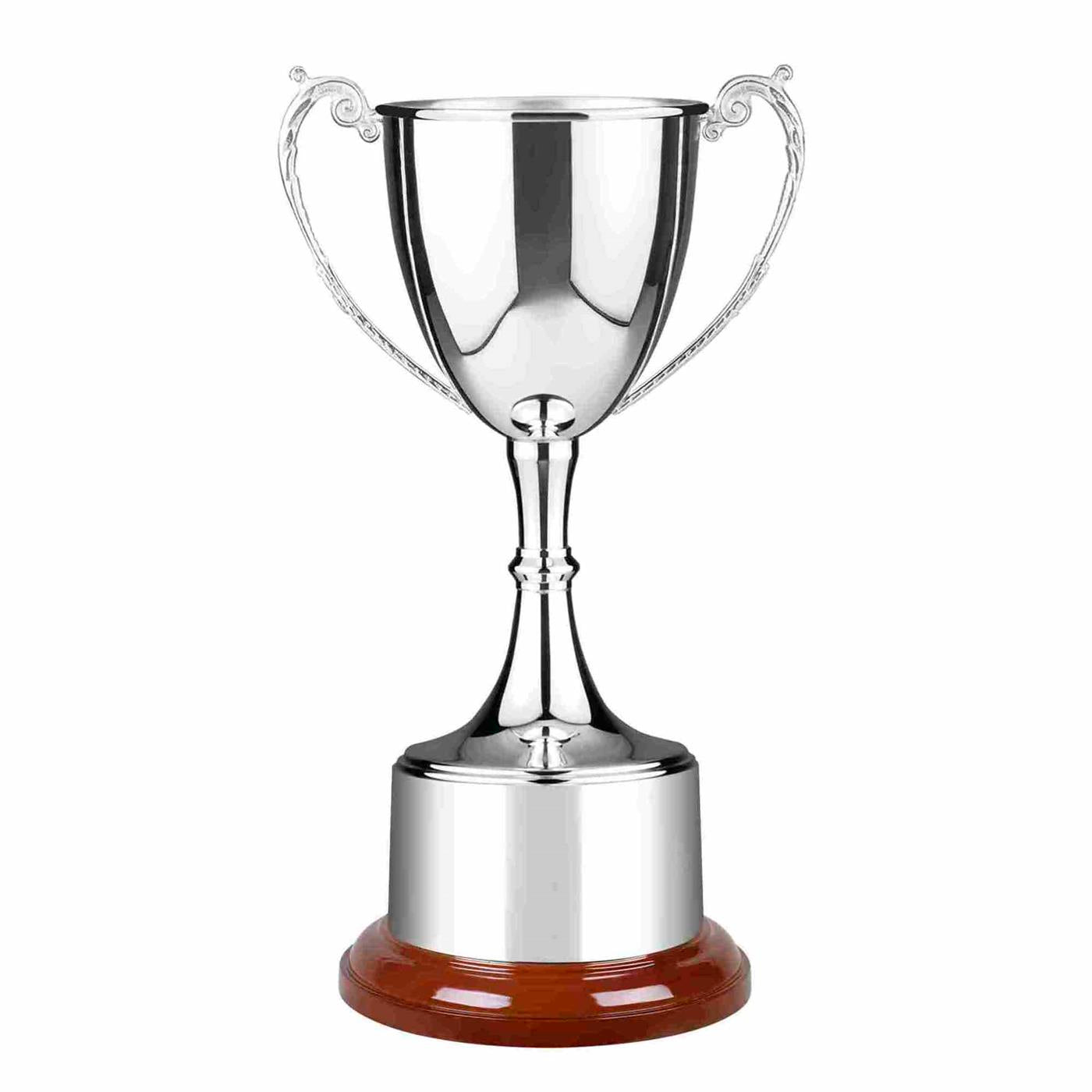Swatkins Patriot Silver Plated Trophy Cup Award  
