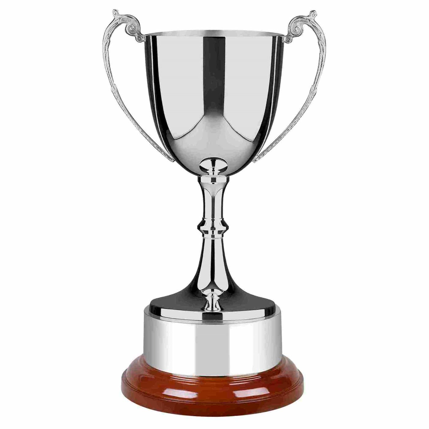 Swatkins Revolution Staffordshire Nickel Plated Trophy Cup Award