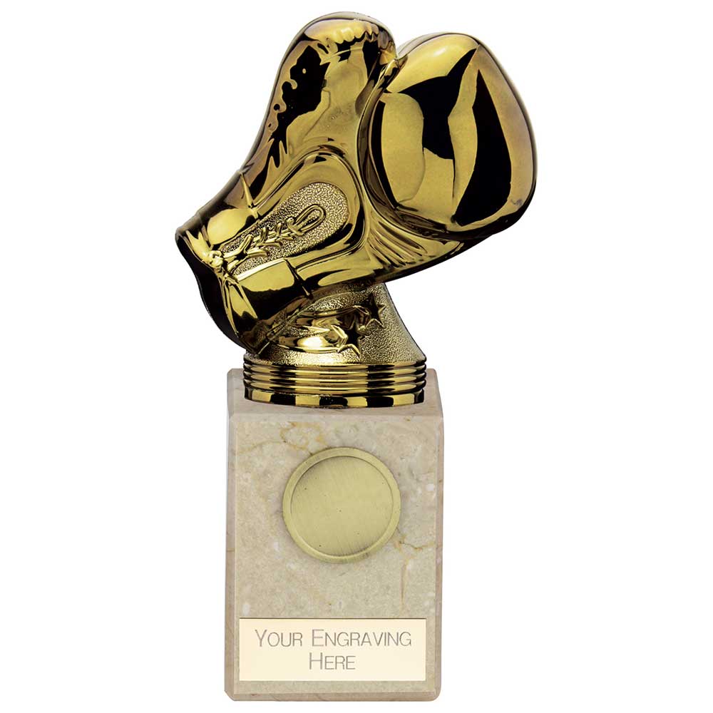 Boxing Trophies – North East Trophies