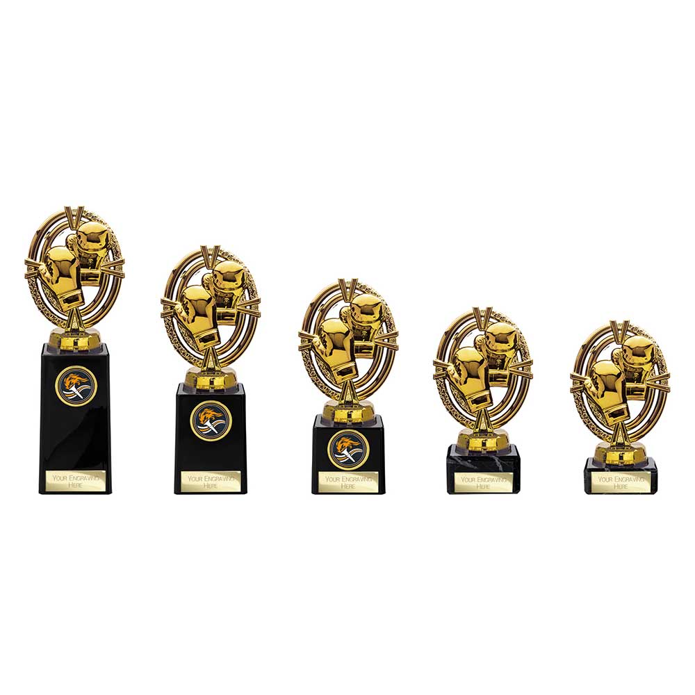 Boxing Trophies – North East Trophies