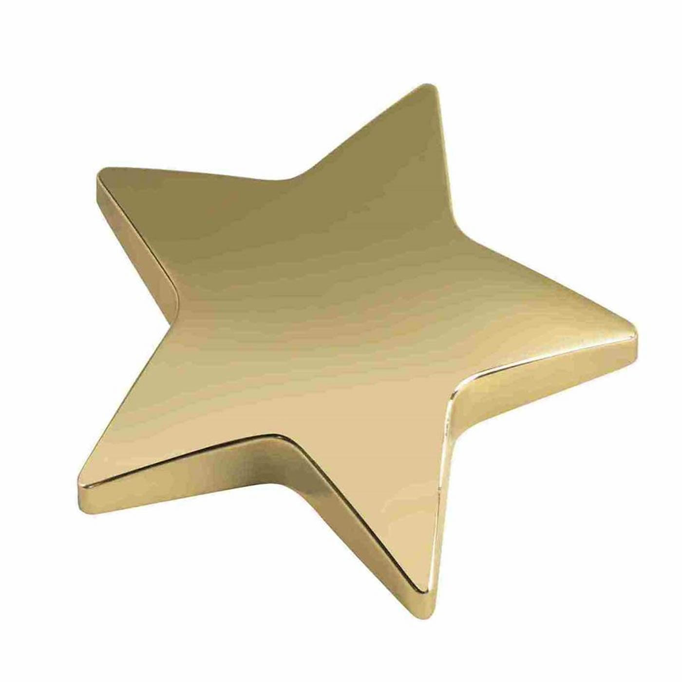 Gold Finish Star Paperweight 