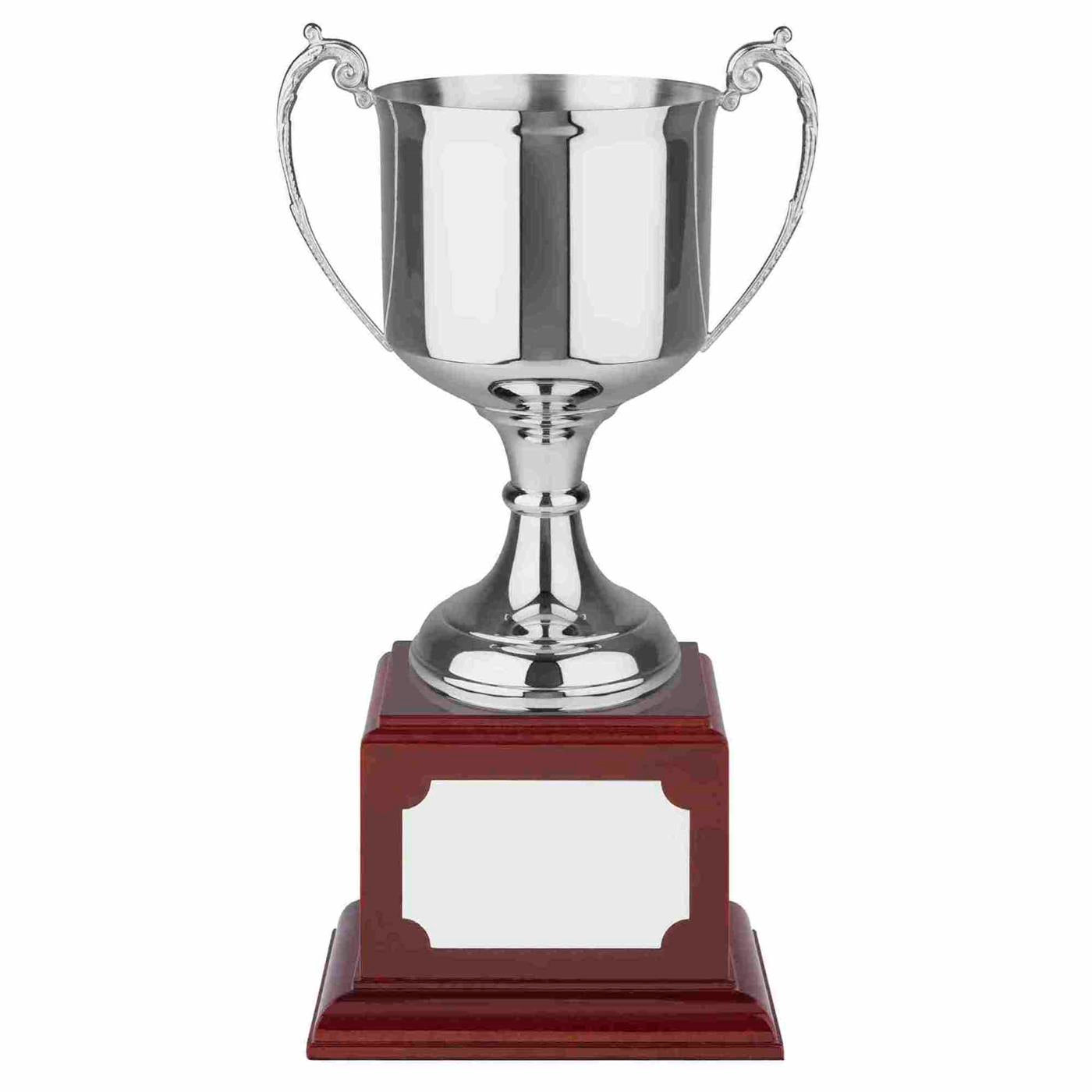 Swatkins Revolution Windsor Nickel Plated Trophy Cup Award  