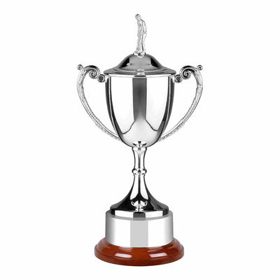 Swatkins Endurance Nickel Plated Trophy Cup Award  