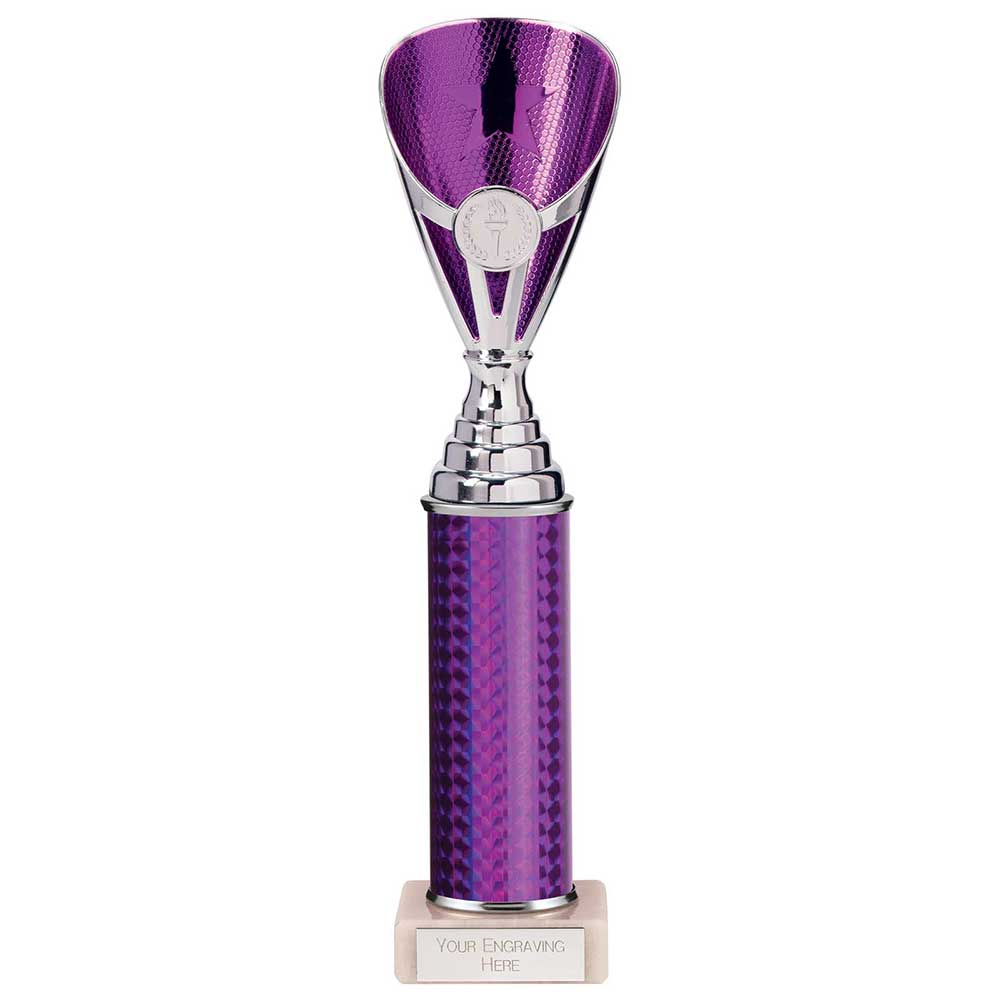 Rising Stars Plastic Trophy in Purple