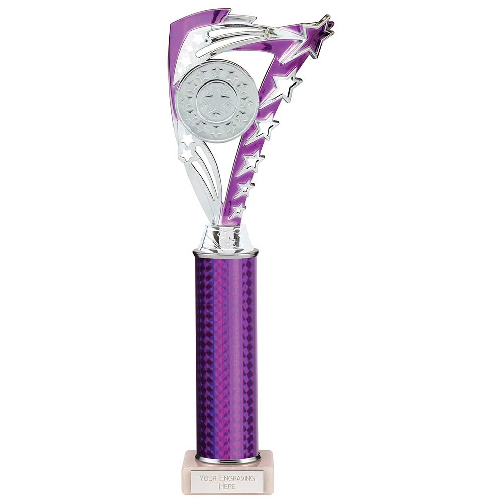 Frenzy Multisport Tube Trophy Silver Purple