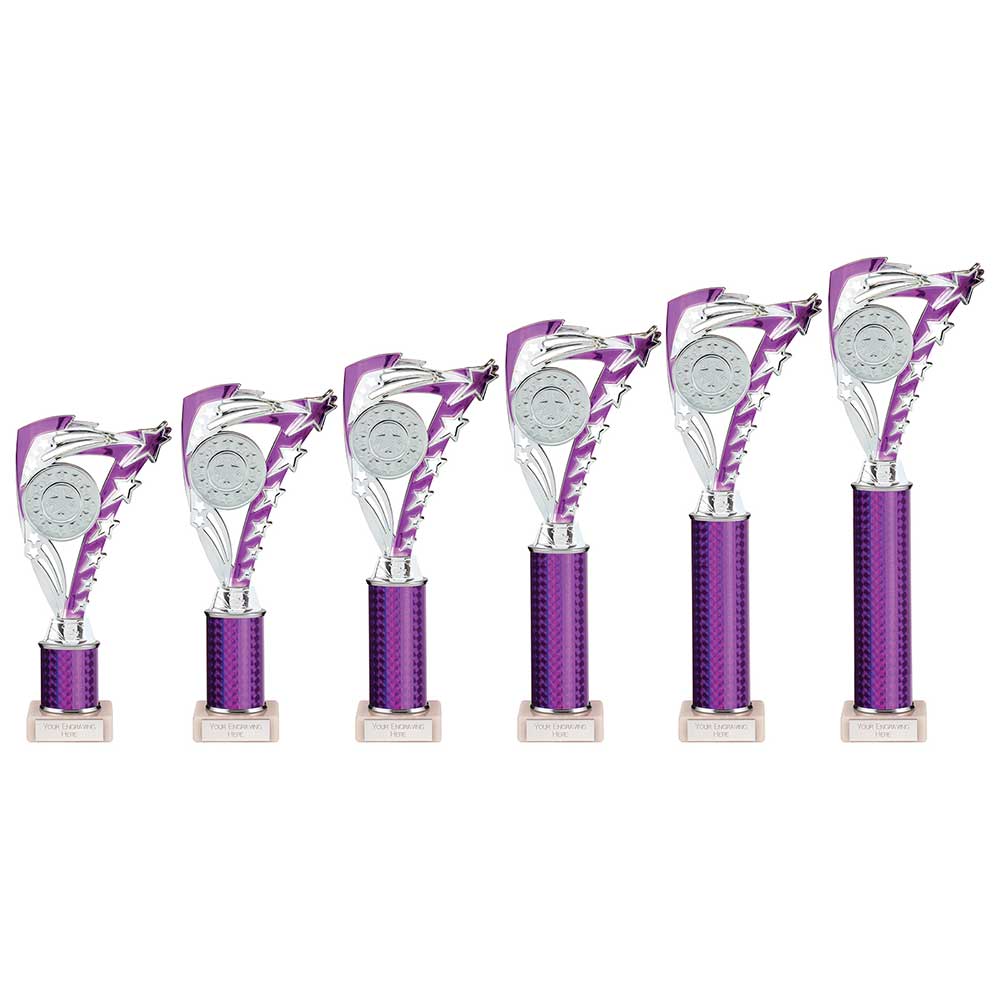 Frenzy Multisport Tube Trophy Silver Purple