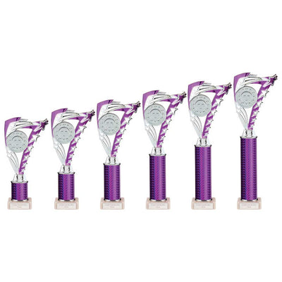 Frenzy Multisport Tube Trophy Silver Purple